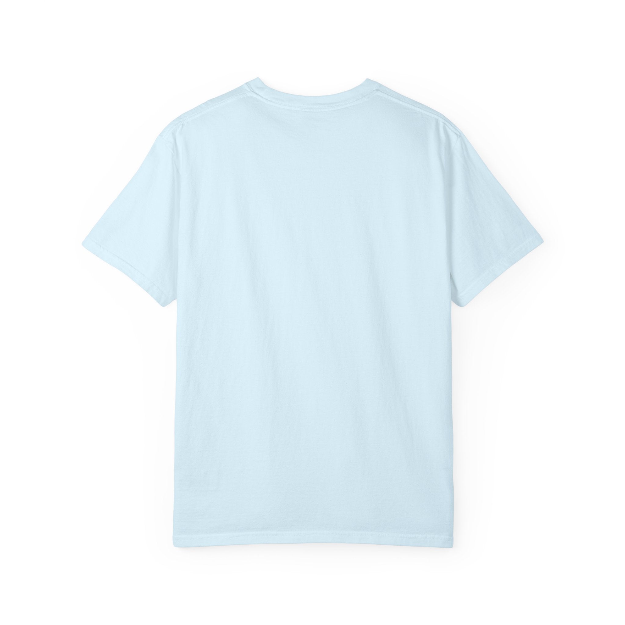 Plain back of the Chambray pale blue garment-dyed unisex t-shirt, no print