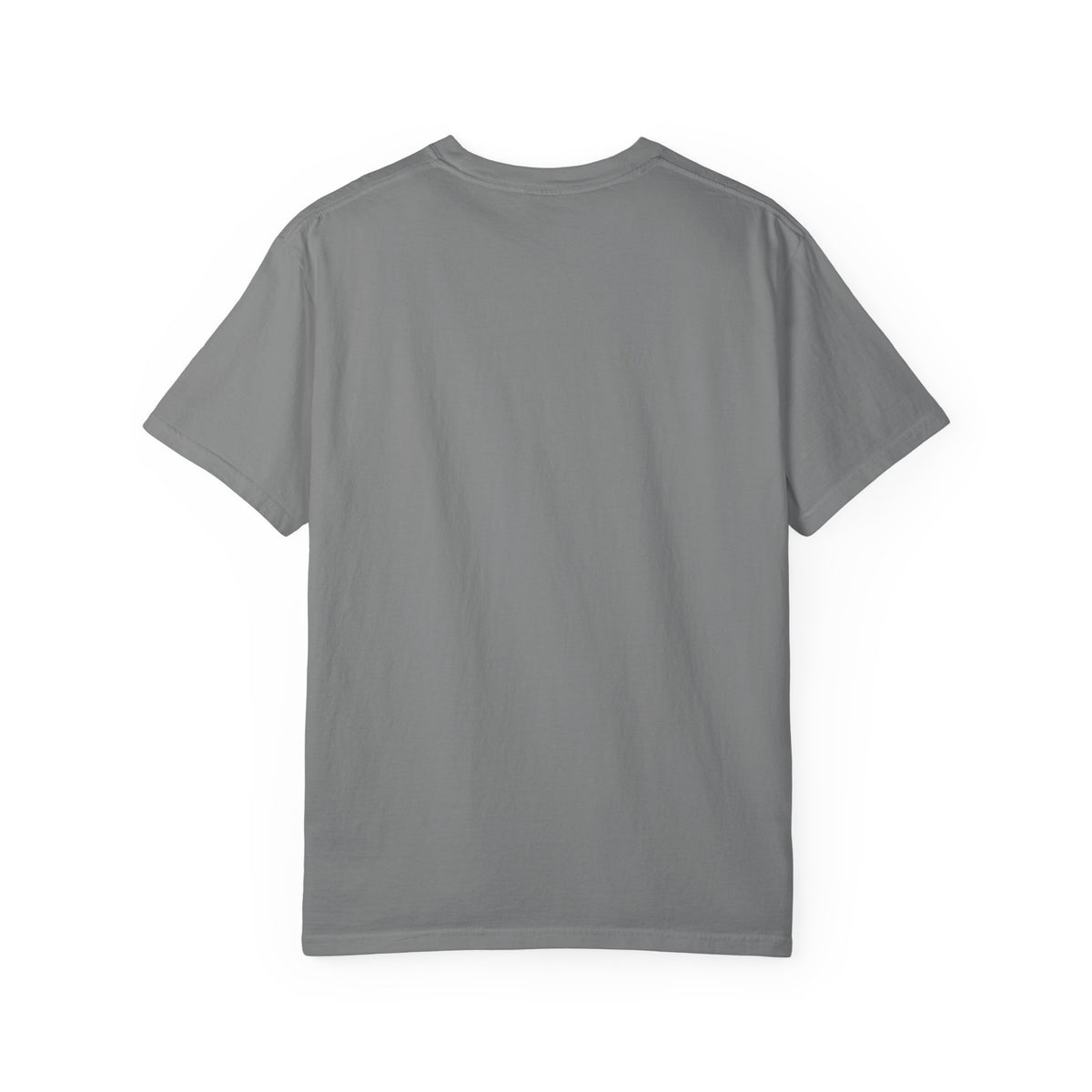 Plain back of the grey garment-dyed unisex t-shirt, no print