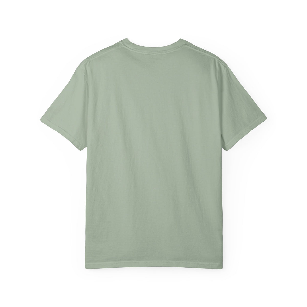 Plain back of the Bay sage green garment-dyed unisex t-shirt, no print