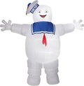 9 Ft Halloween Inflatable Yard Decoration