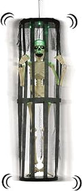 Halloween Skeleton Yard Decoration