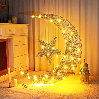 Holiday Yard Decoration