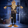 Halloween Ghost Yard Decoration