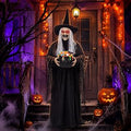 6 ft Halloween Witch Yard Decoration