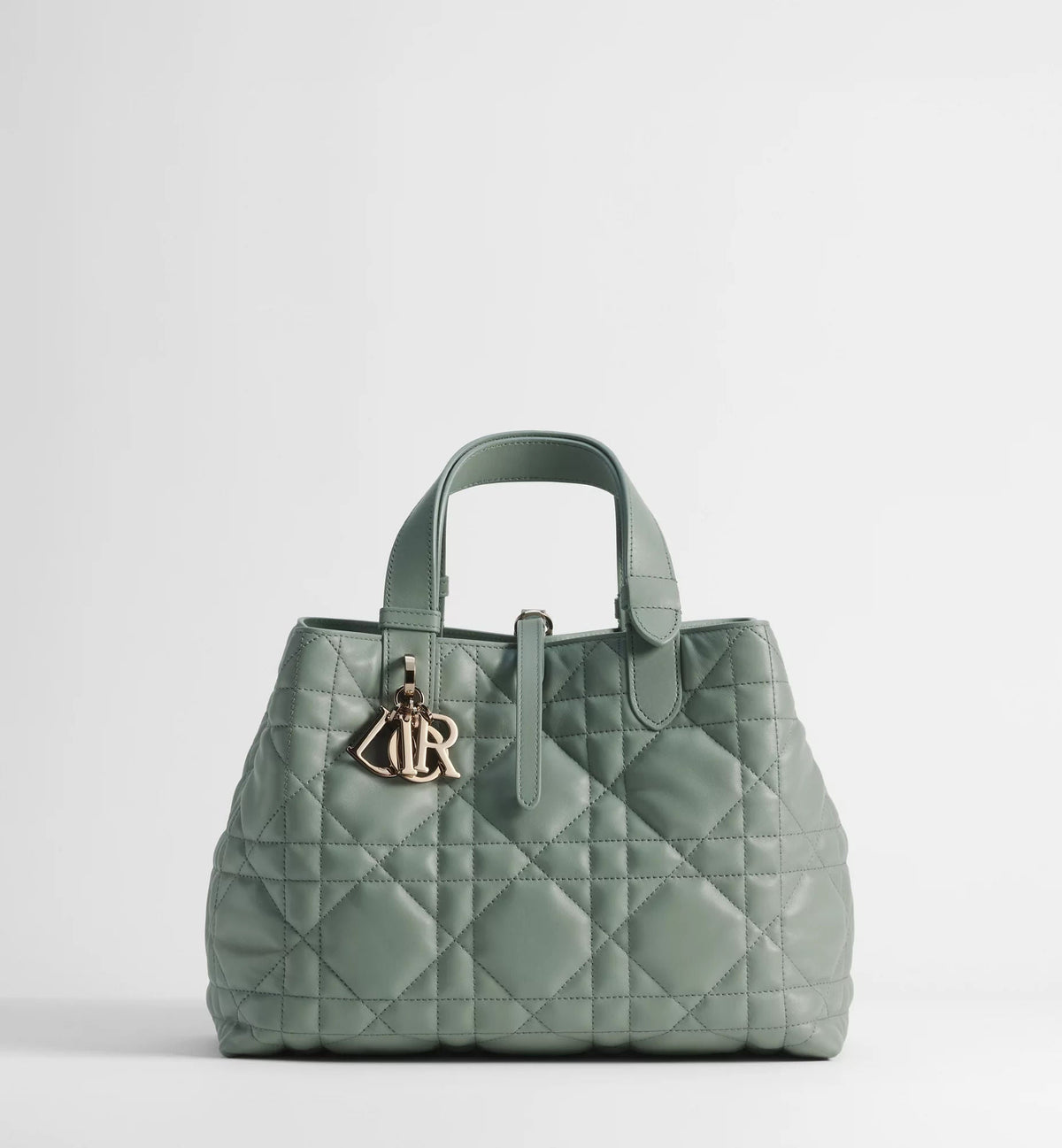 Calfskin Tote Bag Design 004 product image 2