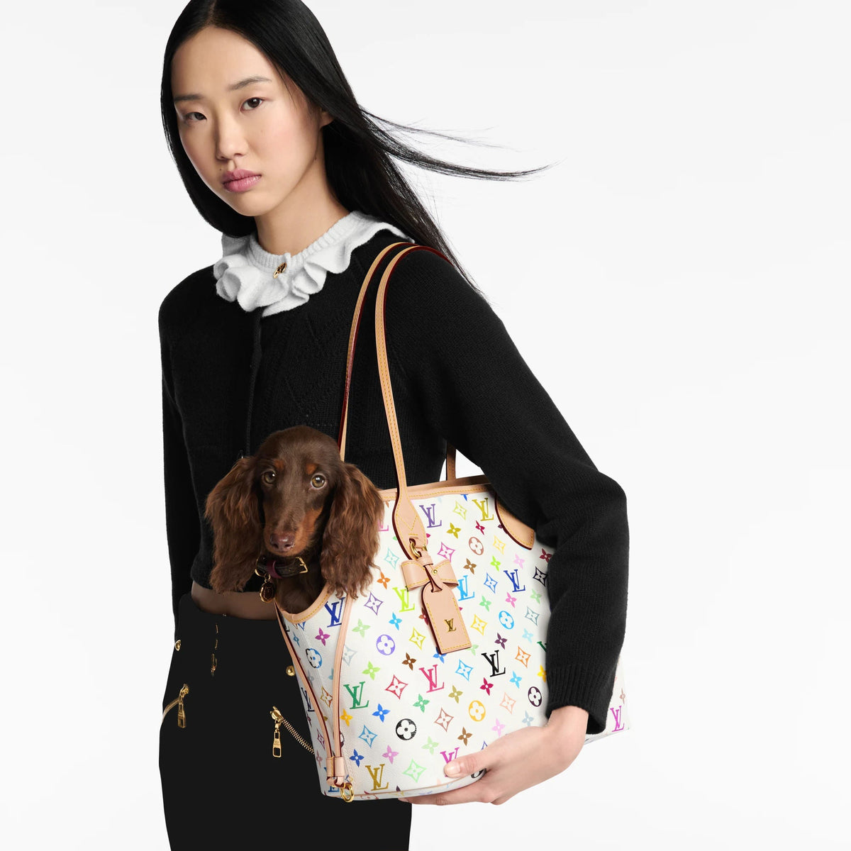 Neverwoof MM Pet Carrier Monogram Multicolore Blanc M27839 Collection