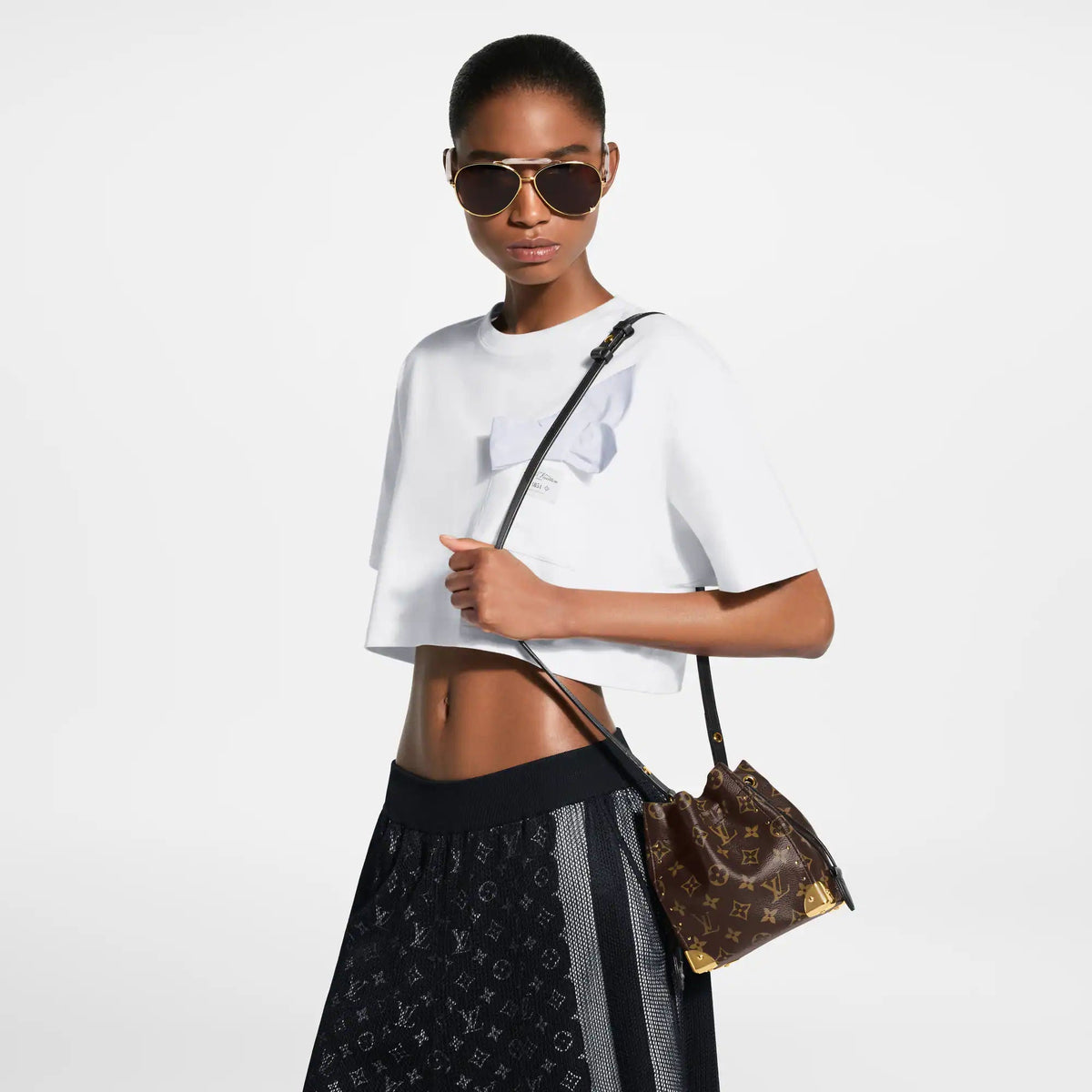 Nano Noé Trunk Monogram Canvas Crossbody Bag For Women