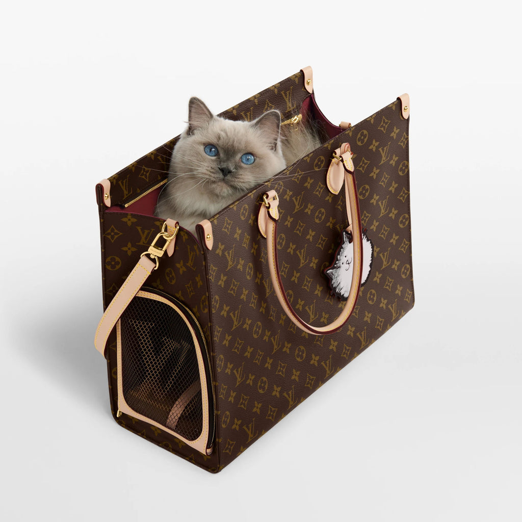 Brown Coated Canvas Tote Bag product image 8