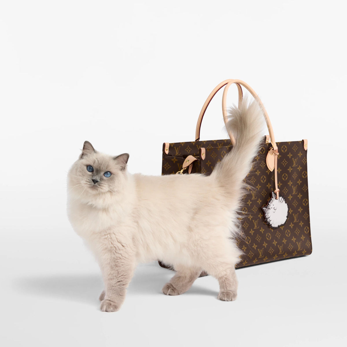 OnTheGo Cat Tote M15142 Collection