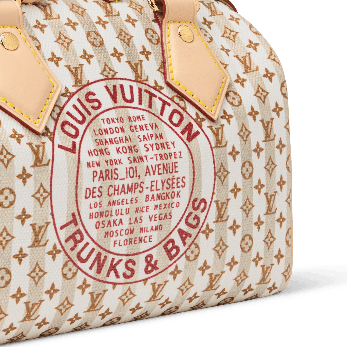 Coated Canvas & Cowhide Handbag Design 003 product image 5
